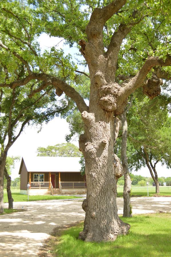 פרדריקסברג Vineyard Trail Cottages- Adults Only חדר תמונה